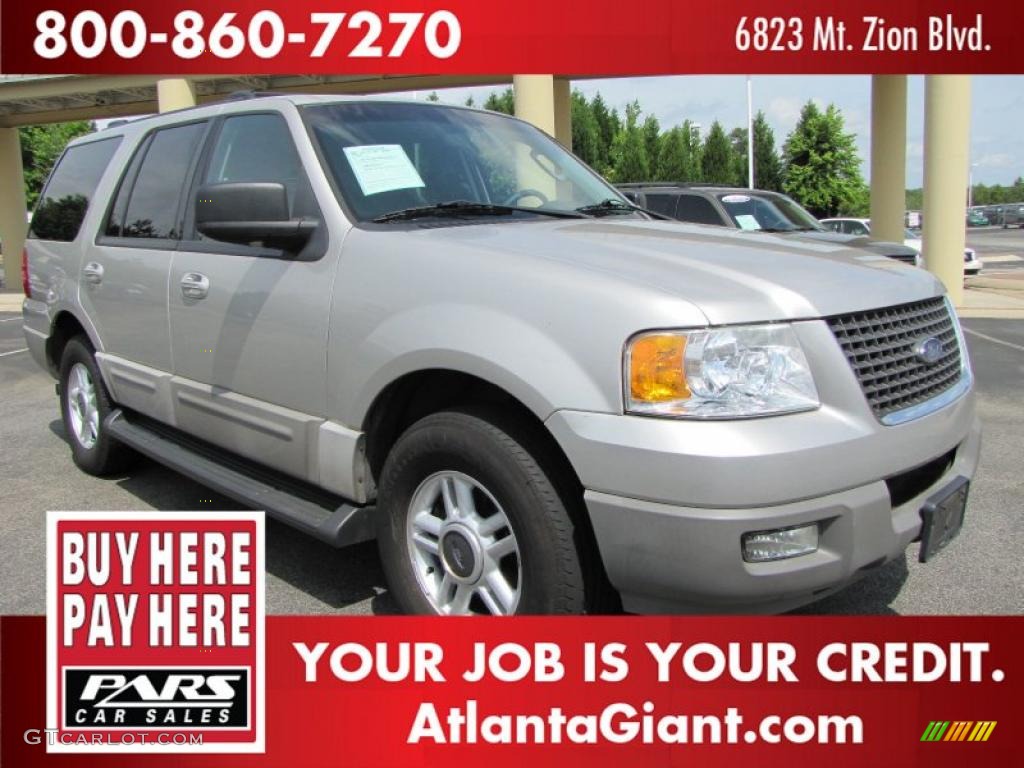 2003 Expedition XLT - Silver Birch Metallic / Flint Grey photo #4