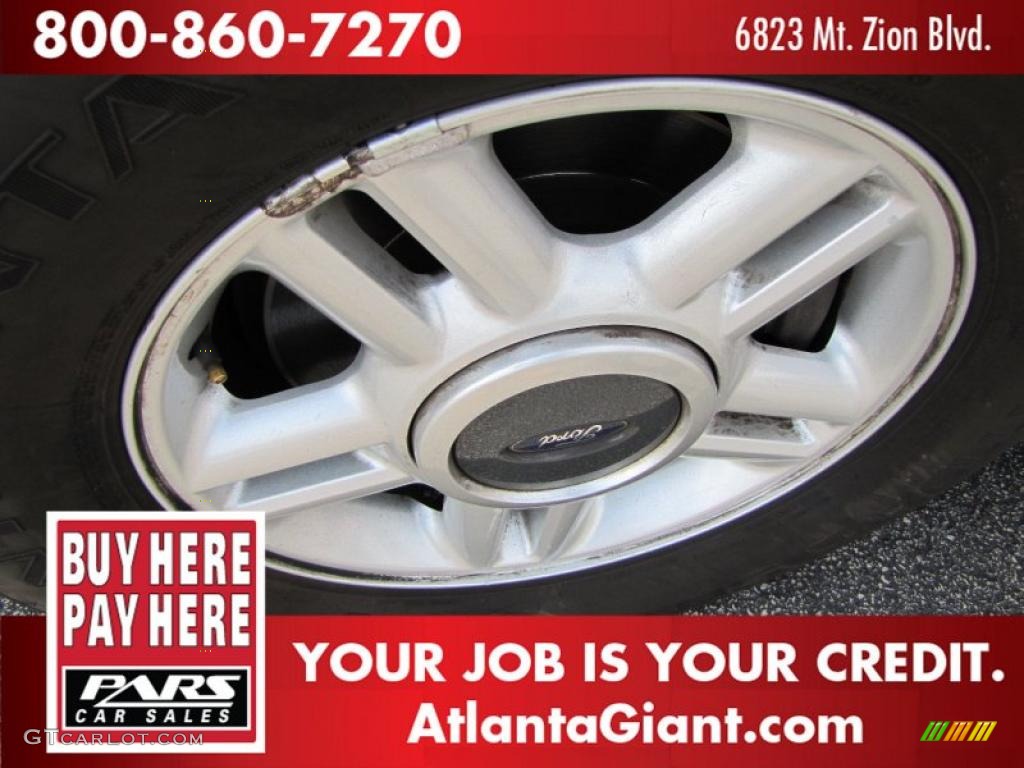 2003 Expedition XLT - Silver Birch Metallic / Flint Grey photo #5