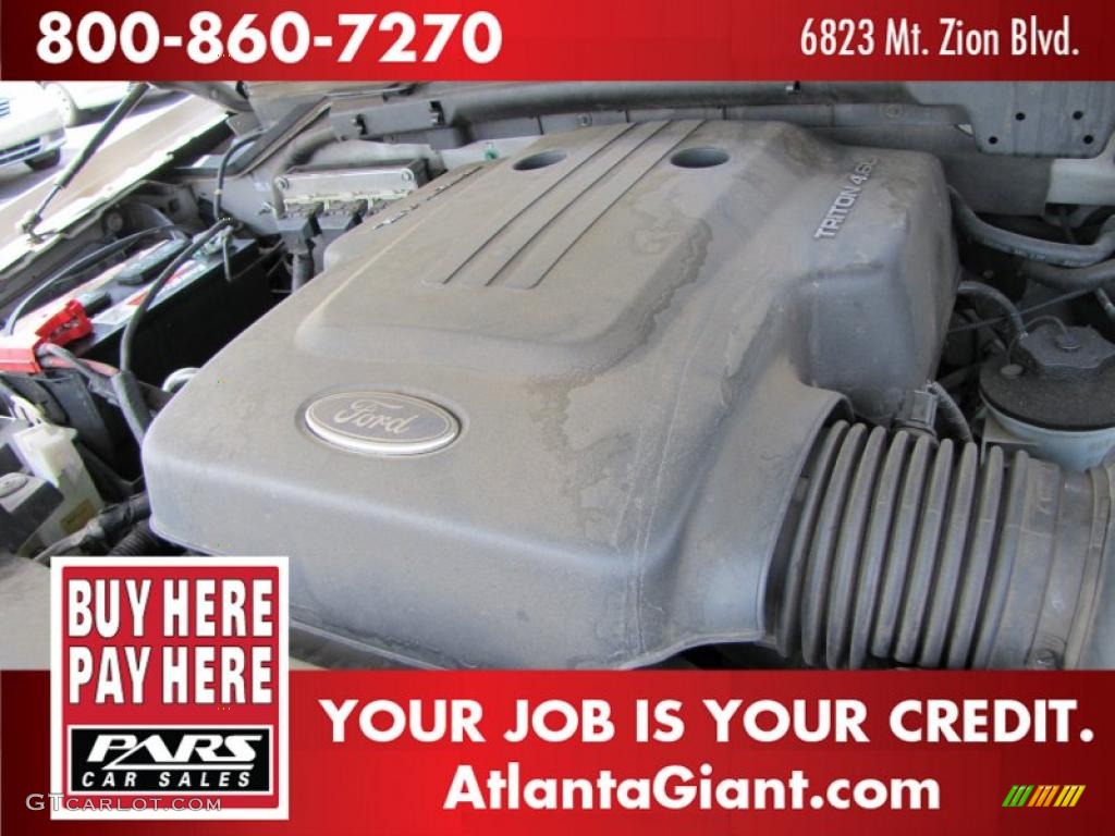 2003 Expedition XLT - Silver Birch Metallic / Flint Grey photo #14