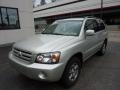 Millenium Silver Metallic - Highlander V6 4WD Photo No. 11