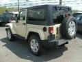 Sahara Tan - Wrangler Sahara 4x4 Photo No. 5