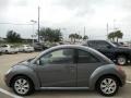 Platinum Grey 2008 Volkswagen New Beetle S Coupe Exterior