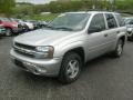 Silverstone Metallic - TrailBlazer LS 4x4 Photo No. 3
