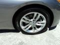 Platinum Graphite - G 37 Coupe Photo No. 3