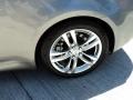 Platinum Graphite - G 37 Coupe Photo No. 11
