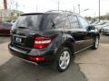 Obsidian Black Metallic - ML 350 4Matic Photo No. 4