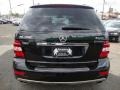 Obsidian Black Metallic - ML 350 4Matic Photo No. 10
