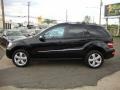 Obsidian Black Metallic - ML 350 4Matic Photo No. 16