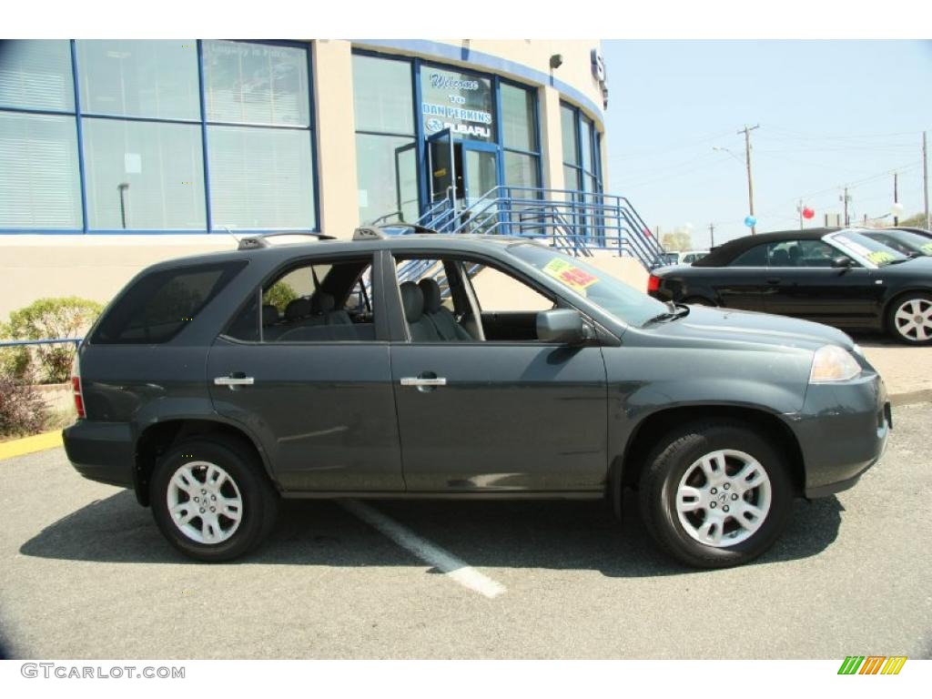 2004 MDX Touring - Sagebrush Pearl / Quartz photo #4