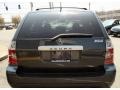 2004 Sagebrush Pearl Acura MDX Touring  photo #6