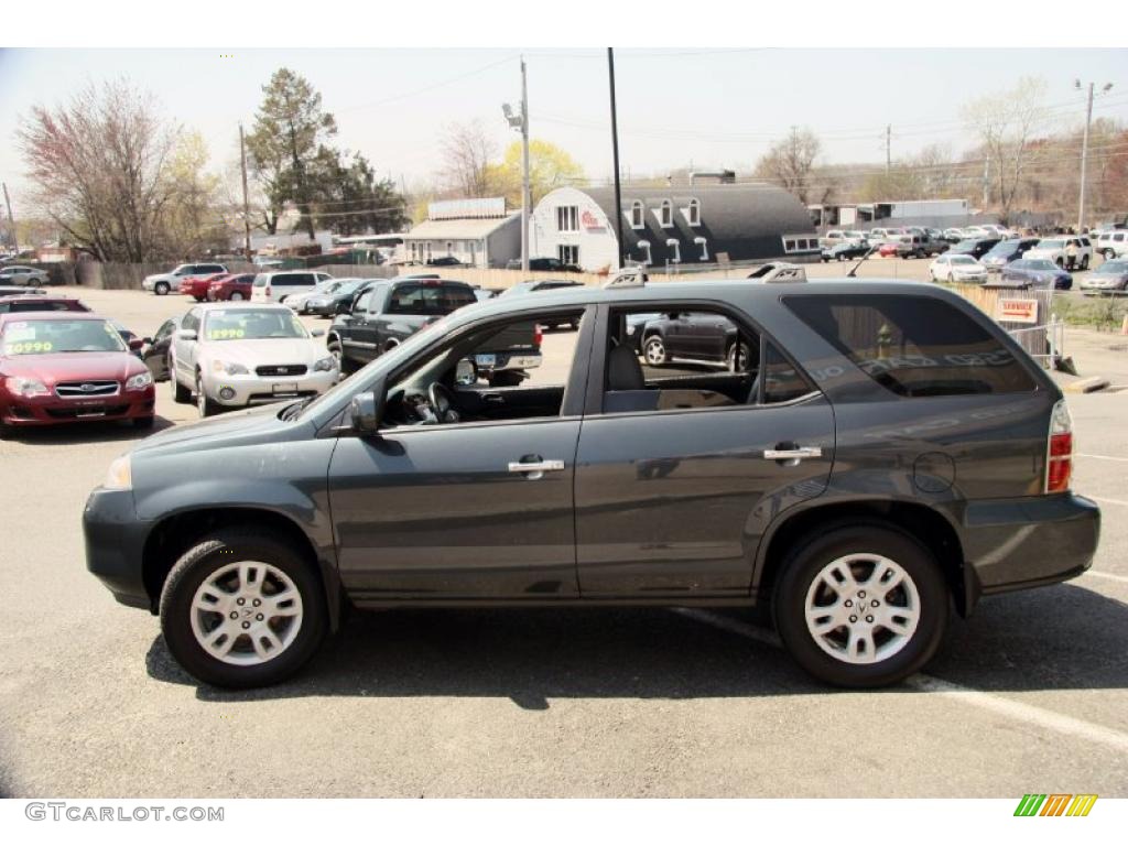 Sagebrush Pearl 2004 Acura MDX Touring Exterior Photo #48680012