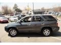 2004 Sagebrush Pearl Acura MDX Touring  photo #10