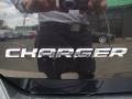 Brilliant Black Crystal Pearl - Charger  Photo No. 30