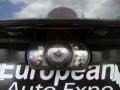 Brilliant Black Crystal Pearl - Charger  Photo No. 32
