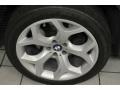 Space Grey Metallic - X5 4.8i Photo No. 24