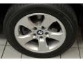 Platinum Bronze Metallic - X3 3.0si Photo No. 11