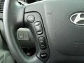 2009 Ebony Black Hyundai Santa Fe SE  photo #34