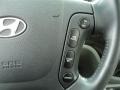 2009 Ebony Black Hyundai Santa Fe SE  photo #35