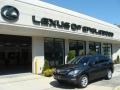 Smokey Granite - RX 350 AWD Photo No. 1