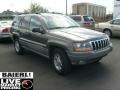 2000 Taupe Frost Metallic Jeep Grand Cherokee Laredo 4x4  photo #1