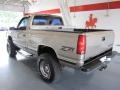 Pewter Metallic - C/K K1500 Regular Cab 4x4 Photo No. 2