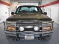 Pewter Metallic - C/K K1500 Regular Cab 4x4 Photo No. 6