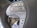Bisque Controls Photo for 2010 Toyota Camry #48688443