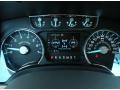 Pale Adobe Gauges Photo for 2011 Ford F150 #48694278