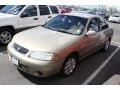 Radium Silver - Sentra GXE Photo No. 4