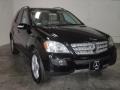 Black - ML 350 4Matic Photo No. 1