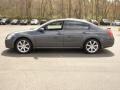 Dark Slate Metallic - Maxima 3.5 SE Photo No. 9