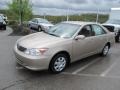Desert Sand Mica - Camry LE Photo No. 5