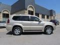 Savannah Beige Metallic - GX 470 Photo No. 7