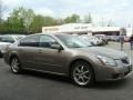 2007 Pebble Beach Metallic Nissan Maxima 3.5 SE  photo #1