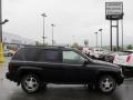 2007 Black Chevrolet TrailBlazer LS 4x4  photo #2