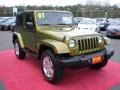 2007 Rescue Green Metallic Jeep Wrangler Sahara 4x4  photo #5