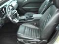 Dark Charcoal Interior Photo for 2006 Ford Mustang #48721934