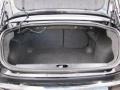 2009 Pontiac G5 Ebony Interior Trunk Photo