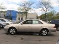 Cashmere Beige Metallic - ES 300 Photo No. 1