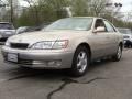 Cashmere Beige Metallic - ES 300 Photo No. 4