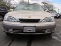 Cashmere Beige Metallic - ES 300 Photo No. 5