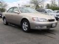 Cashmere Beige Metallic - ES 300 Photo No. 6