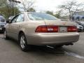 Cashmere Beige Metallic - ES 300 Photo No. 10