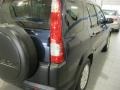 Eternal Blue Pearl - CR-V EX 4WD Photo No. 10