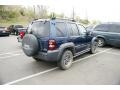 Patriot Blue Pearl - Liberty Renegade 4x4 Photo No. 2