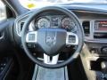 Billett Silver Metallic - Charger SE Photo No. 10