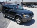 2005 Black Ford Escape XLT V6  photo #7