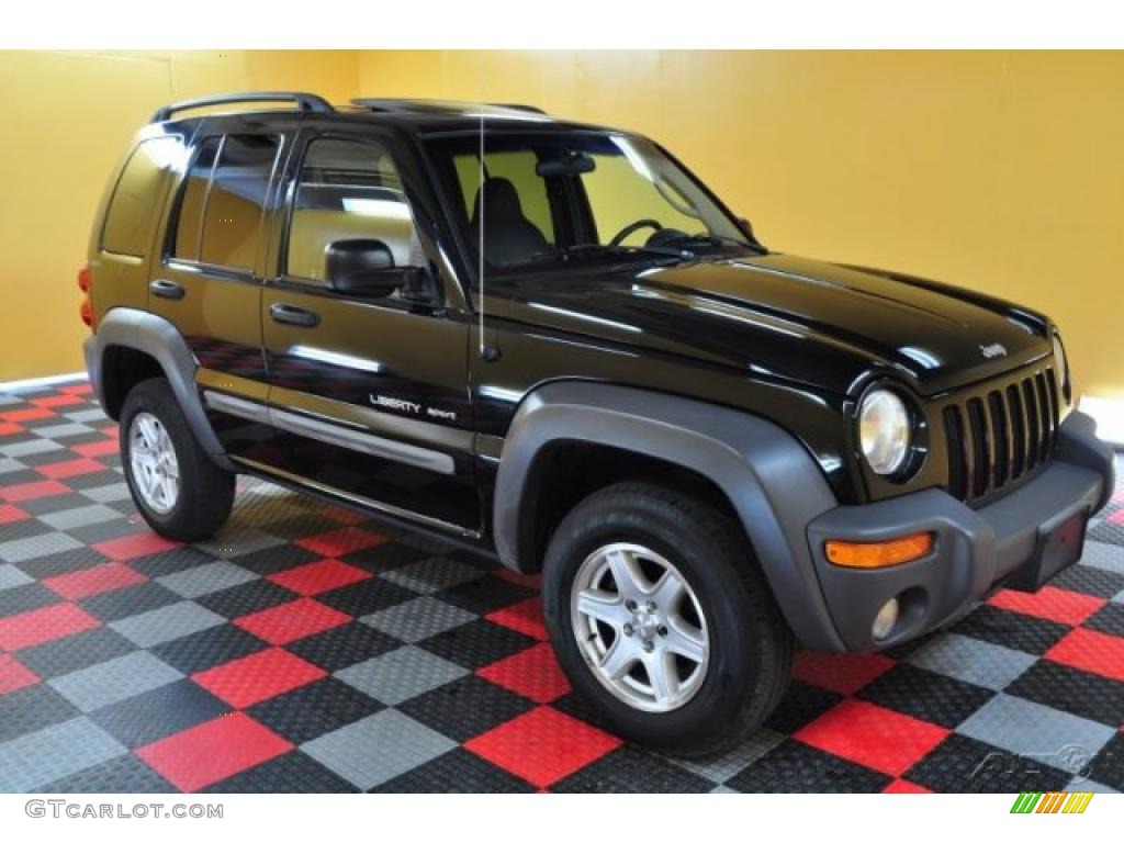 2002 Liberty Sport 4x4 - Black / Dark Slate Gray photo #1