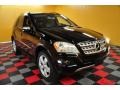Black - ML 350 4Matic Photo No. 1