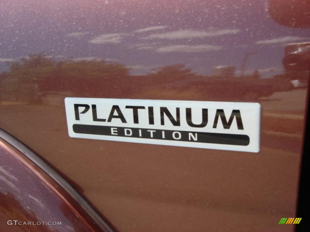 2004 Nissan Pathfinder LE Platinum Marks and Logos Photo #48746184